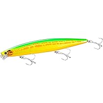 Amazon.co.jp: シマノ エクスセンス レスポンダー149F ウィンター